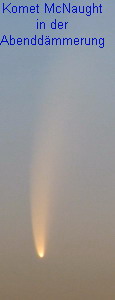 McNaught-2